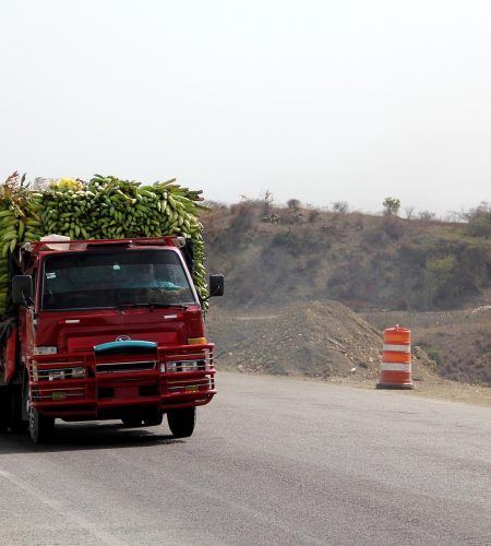 dominican-2404638_1920